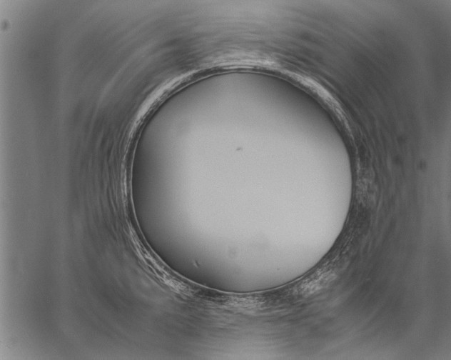 X0000057101191200509301609