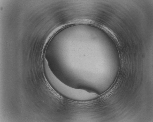 X0000057101192200509301609