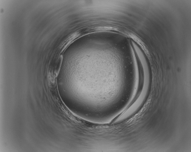 X0000057101193200509301609