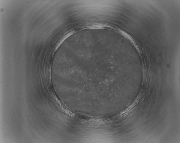 X0000057101194200509301609