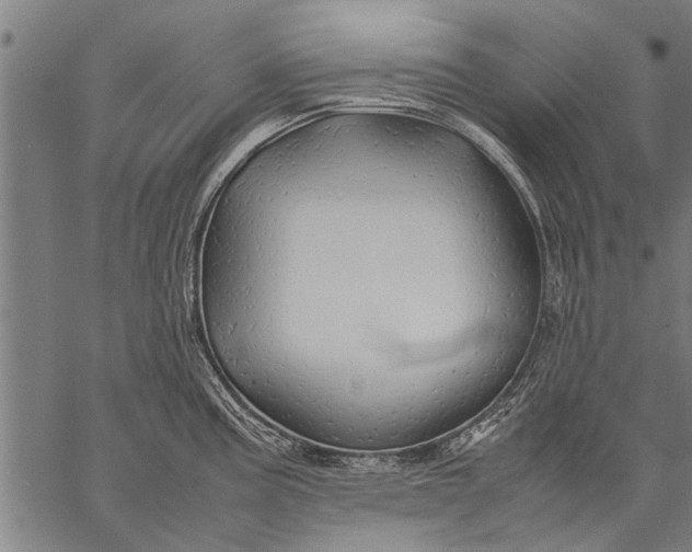 X0000057101195200509301609