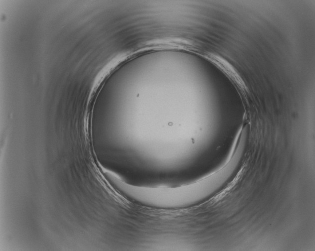 X0000057101196200509301609