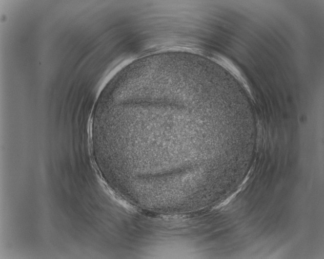 X0000057101198200509301609