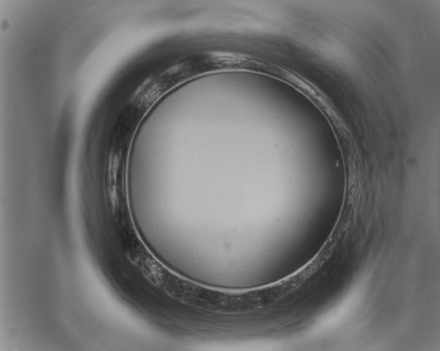 X0000057101199200509301609