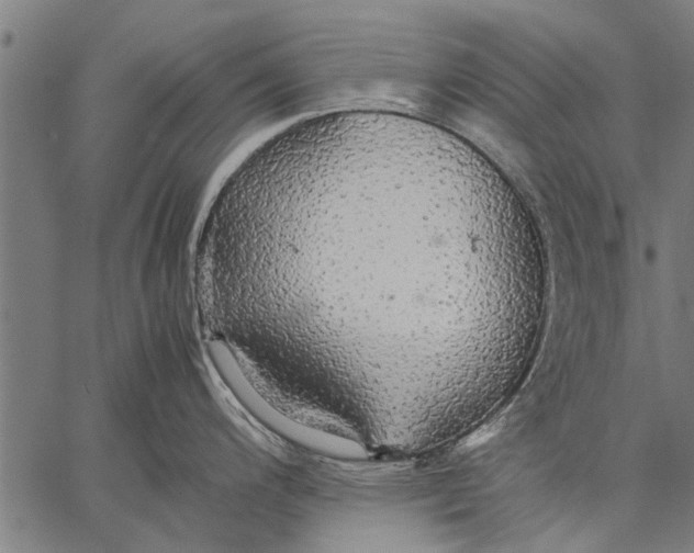 X0000057101200200509301609