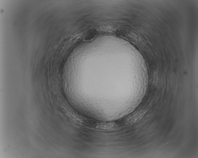 X0000057101201200509301608