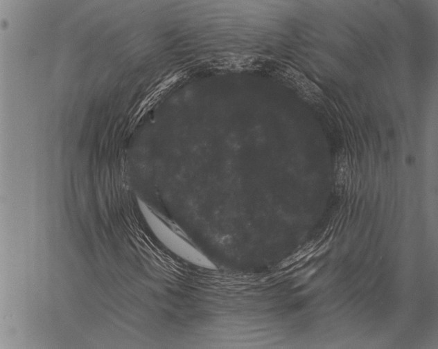 X0000057101202200509301608