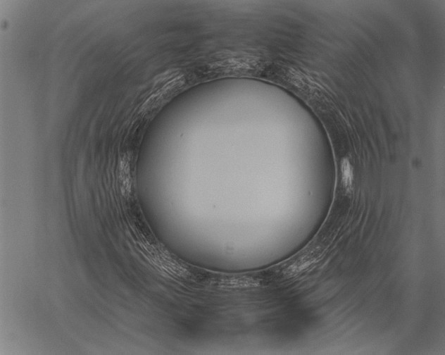 X0000057101203200509301608