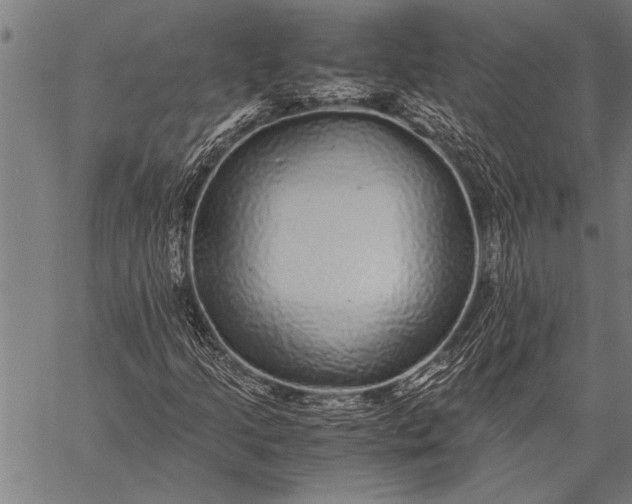 X0000057101205200509301608