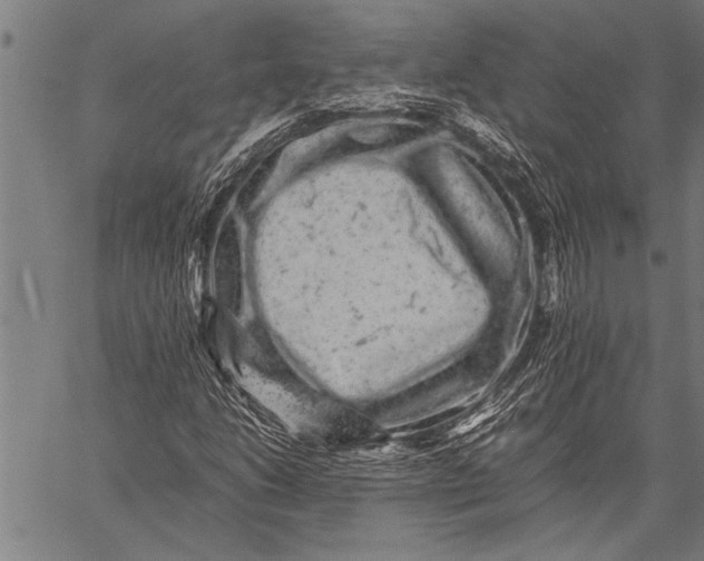 X0000057101206200509301608