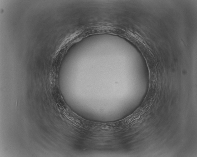 X0000057101207200509301608