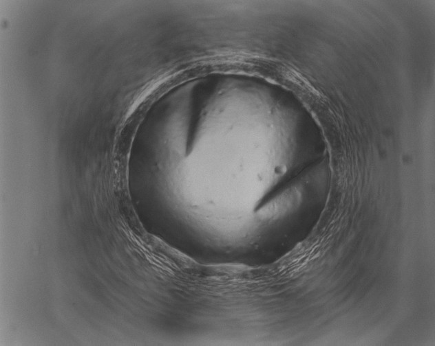 X0000057101208200509301608