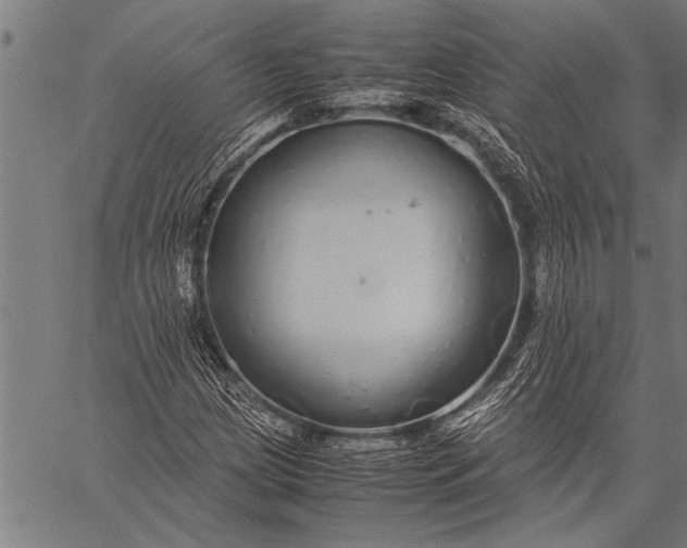 X0000057101209200509301608