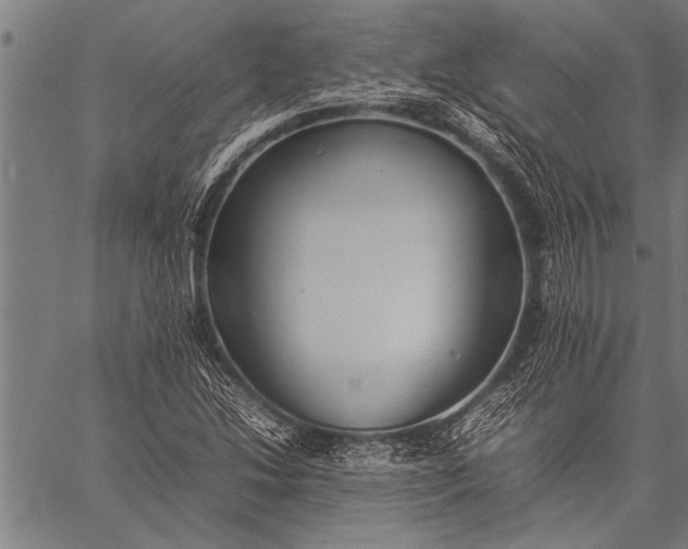 X0000057101214200509301608