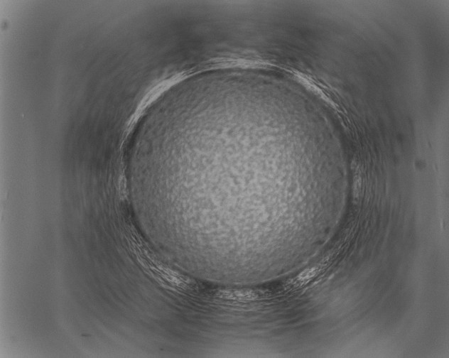 X0000057101215200509301608