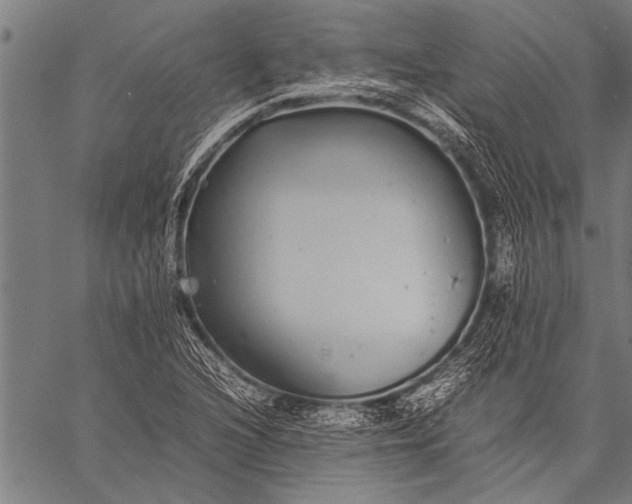 X0000057101216200509301608