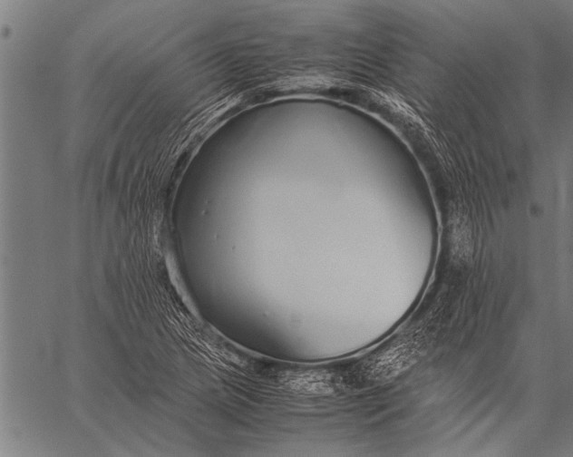 X0000057101217200509301608