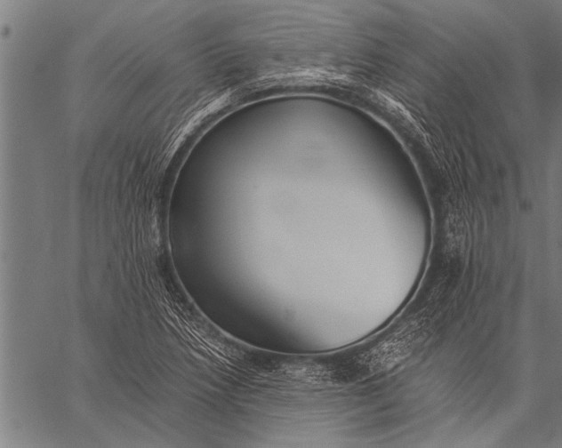 X0000057101218200509301608