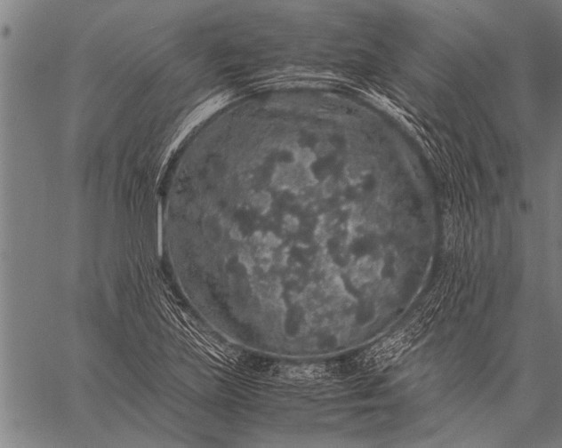 X0000057101219200509301608