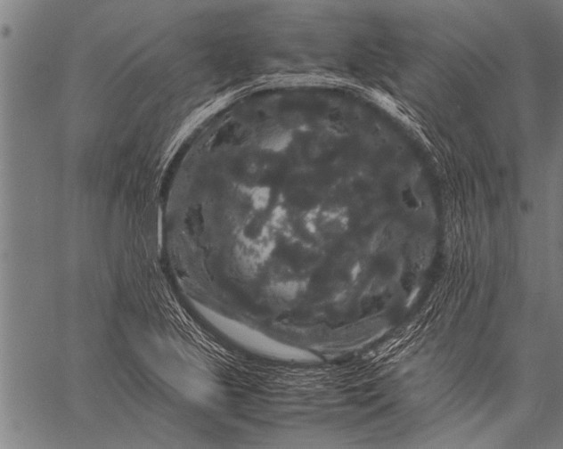 X0000057101221200509301608