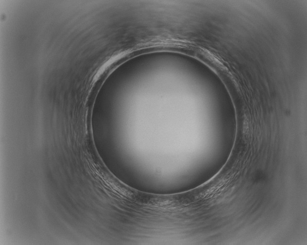 X0000057101222200509301608