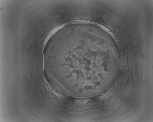 X0000057101223200509301608