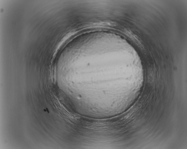 X0000057101224200509301608