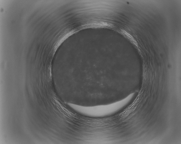 X0000057101226200509301608