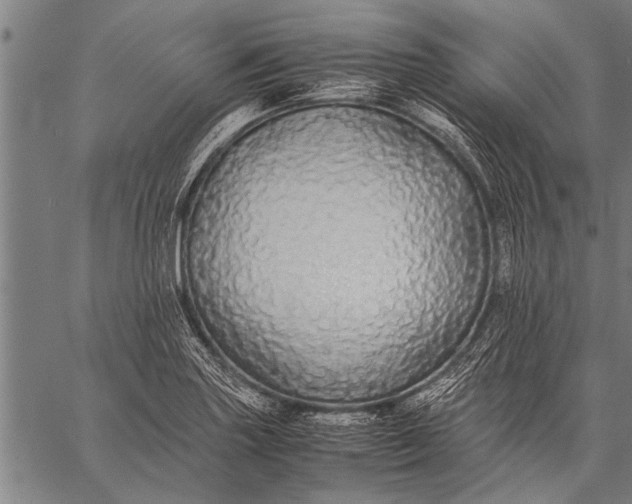 X0000057101227200509301608