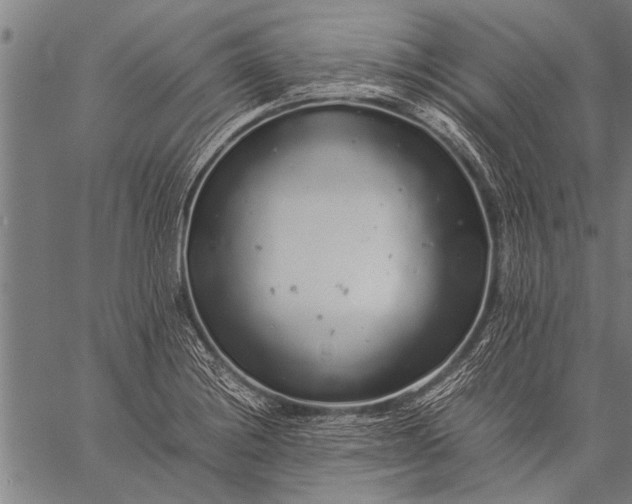 X0000057101228200509301608