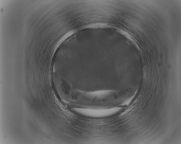 X0000057101229200509301608