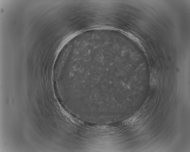 X0000057101231200509301608