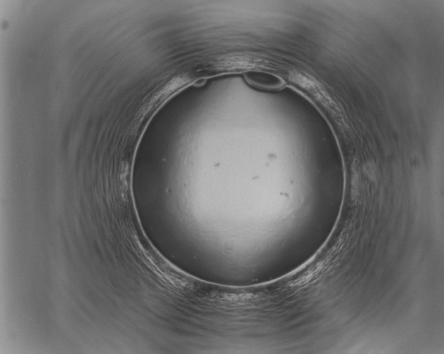 X0000057101233200509301608