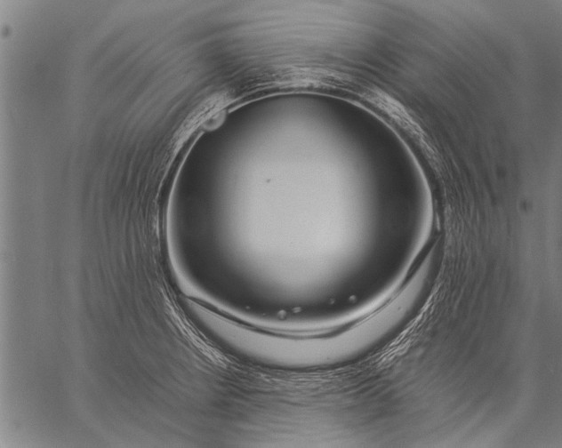 X0000057101234200509301608