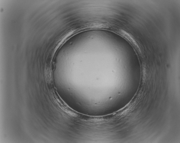 X0000057101236200509301608