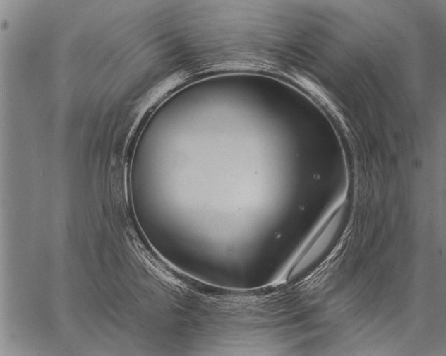 X0000057101238200509301608