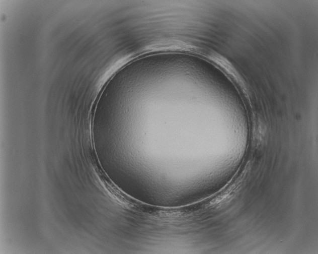 X0000057101242200509301608