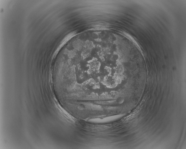 X0000057101243200509301608