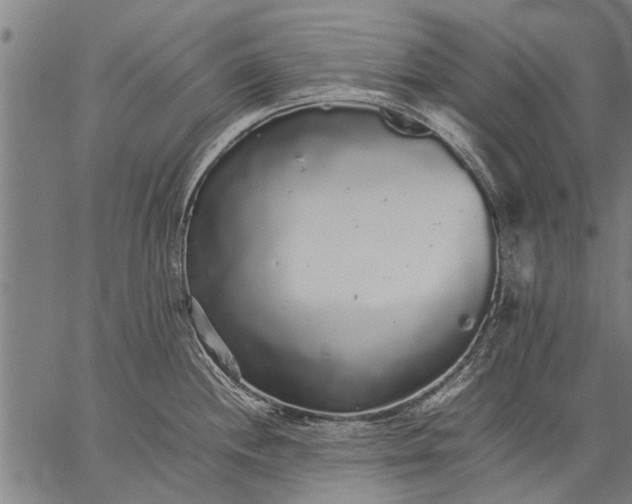 X0000057101244200509301608