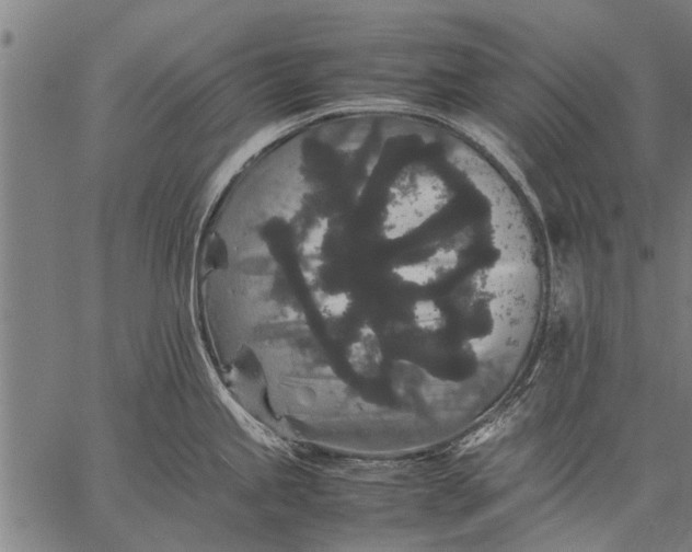 X0000057101245200509301608