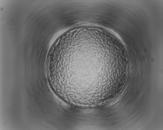 X0000057101247200509301609