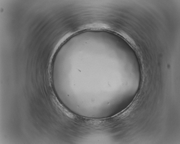 X0000057101248200509301609