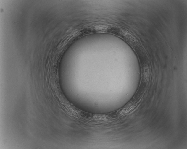 X0000057101249200509301608