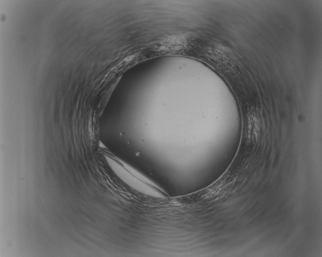 X0000057101250200509301608