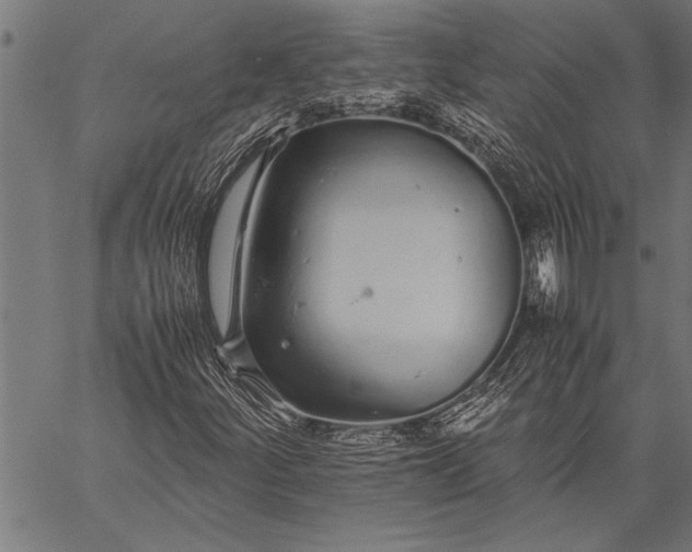 X0000057101252200509301608