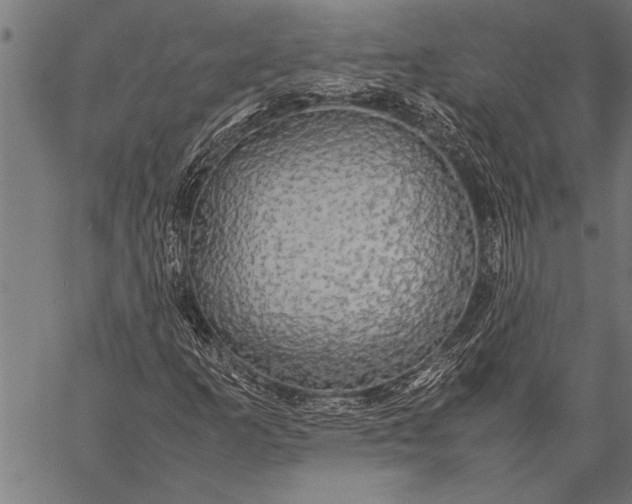 X0000057101253200509301608