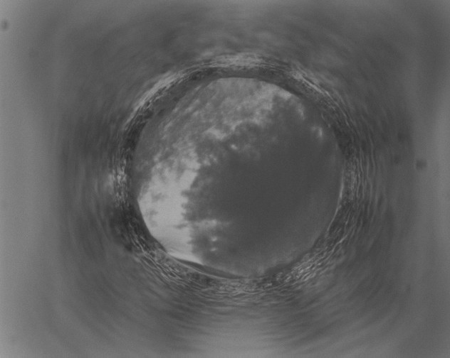 X0000057101254200509301608