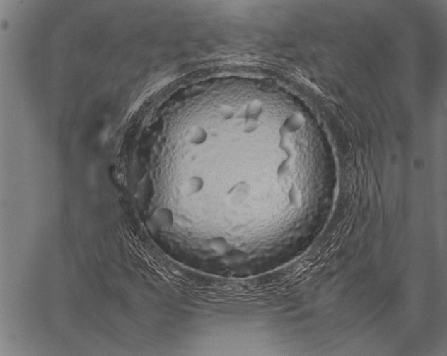 X0000057101255200509301608