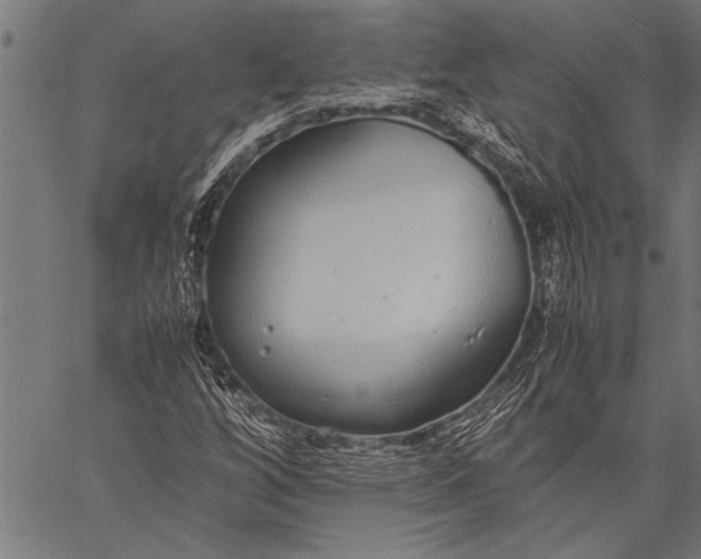 X0000057101256200509301608