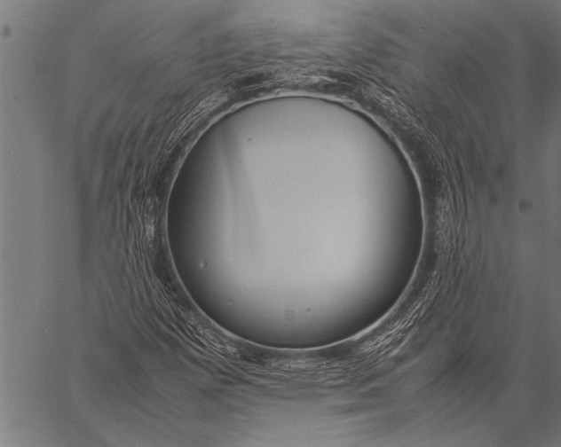 X0000057101257200509301608